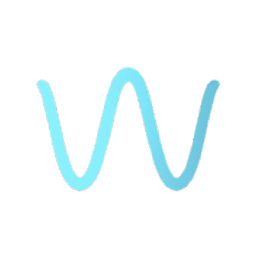www.wavium.space favicon